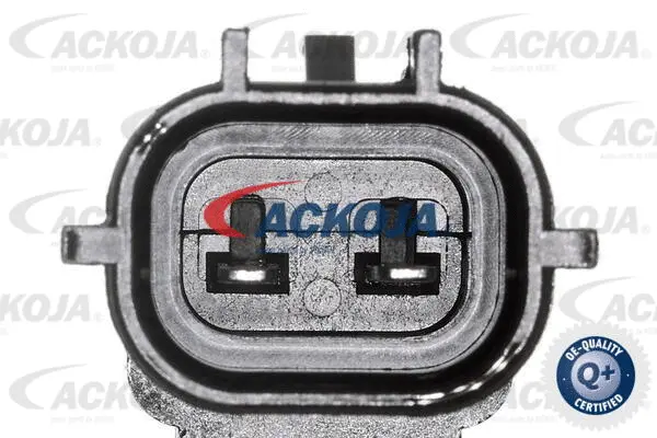 Control Valve, camshaft adjustment