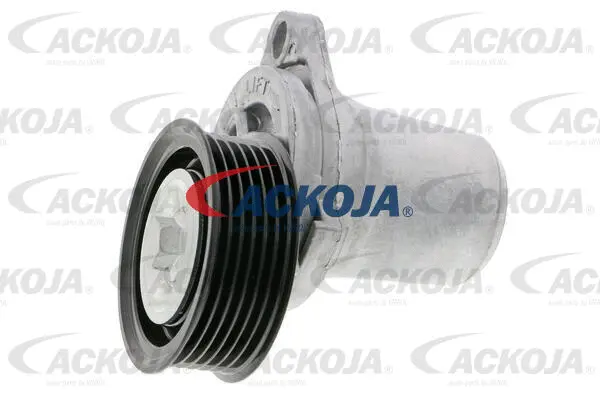 Tensioner Lever, V-ribbed belt