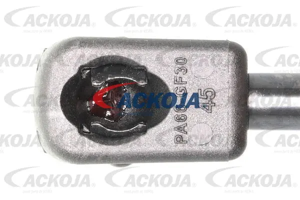 Gas Spring, boot/cargo area