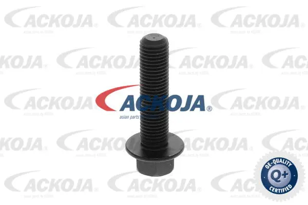 Camshaft Adjuster