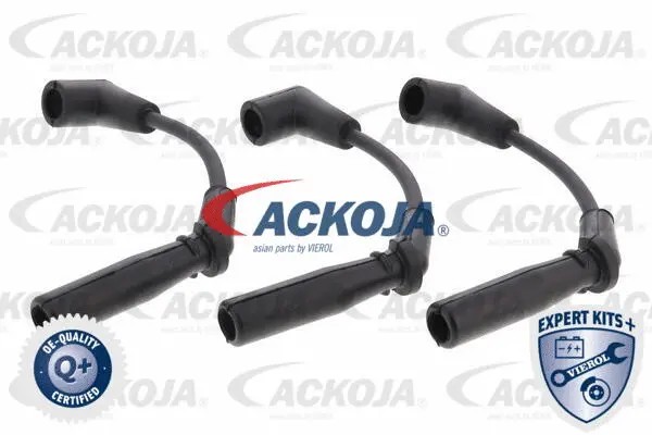 Ignition Cable Kit