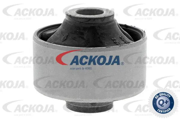 Mounting, control/trailing arm