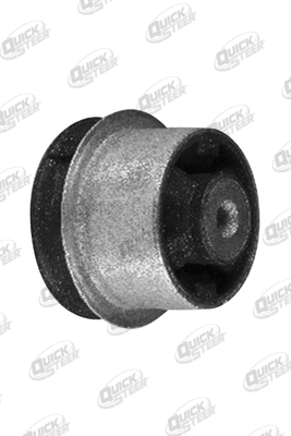 Mounting, control/trailing arm (SB7493)