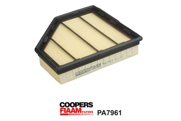 Air Filter (PA7961)