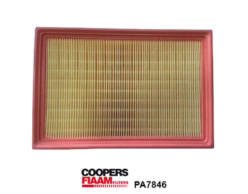 Air Filter (PA7846)