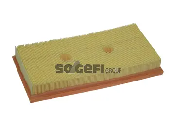 Air Filter (PA7500)