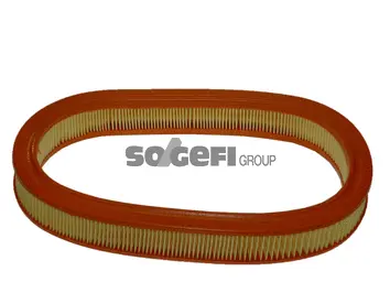 Air Filter (FL6796)
