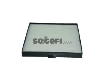 Filter, cabin air (PC8301)