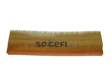 Air Filter (PA7147)
