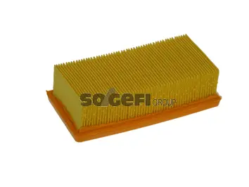 Air Filter (PA7056)