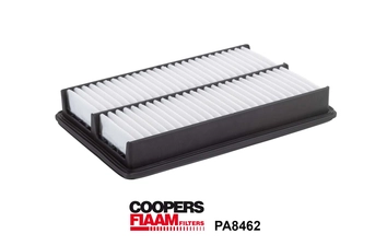 Air Filter (PA8462)