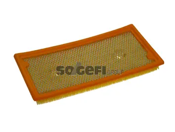 Air Filter (PA7599)