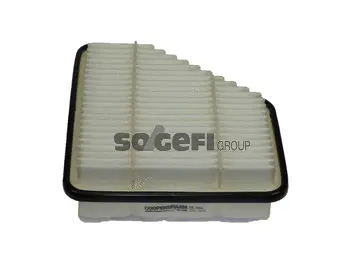Air Filter (PA7594)