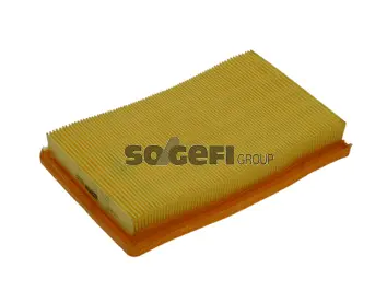 Air Filter (PA7302)