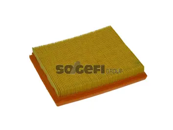 Air Filter (PA7256)