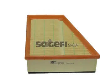 Air Filter (PA7556)