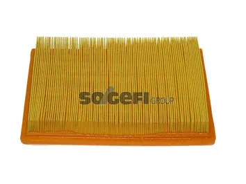 Air Filter (PA7219)