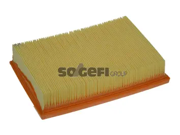 Air Filter (PA7366)