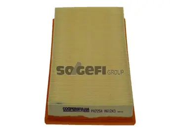Air Filter (PA7254)