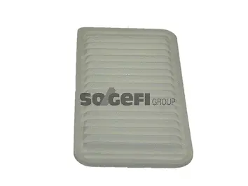 Air Filter (PA7595)