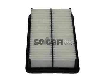 Air Filter (PA7687)