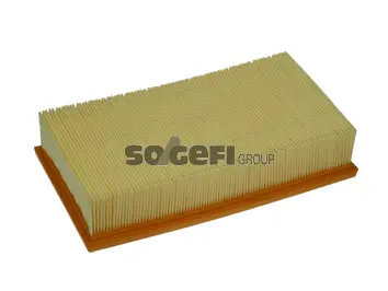 Air Filter (PA7163)