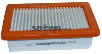 Air Filter (PA7304)