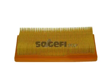 Air Filter (PA7154)