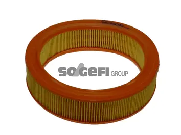 Air Filter (FL6633)