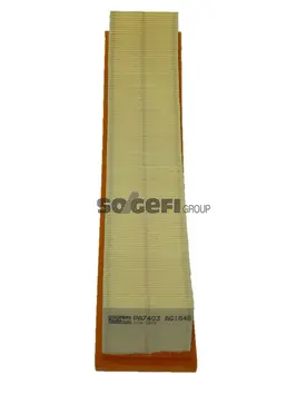Air Filter (PA7403)