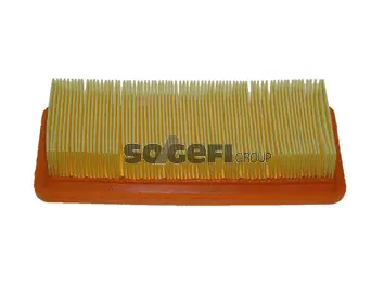 Air Filter (PA7421)