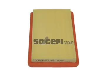 Air Filter (PA7694)