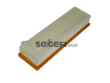 Air Filter (PA7785)