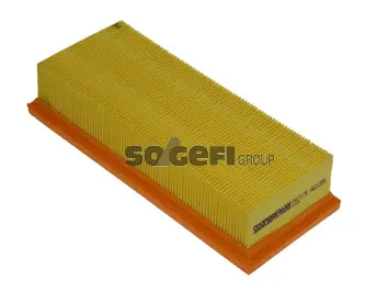 Air Filter (PA7176)