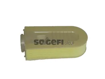 Air Filter (PA7666)