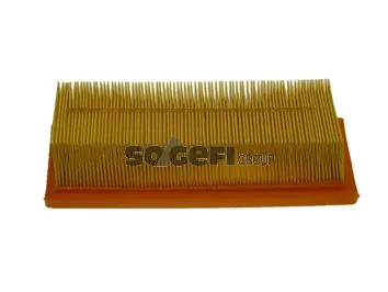 Air Filter (PA7161)