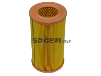 Air Filter (FL6922)