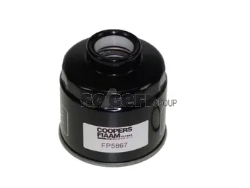 Fuel Filter (FP5867)