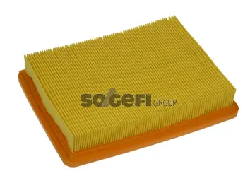 Air Filter (PA7396)