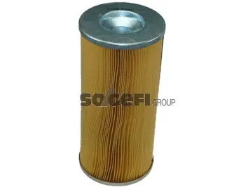 Air Filter (FL6941)