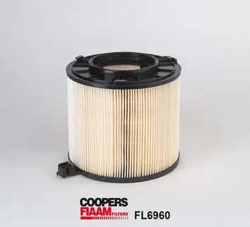 Air Filter (FL6960)