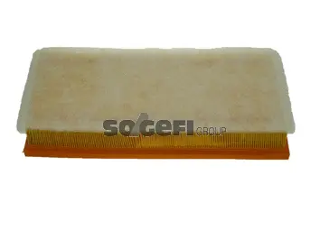 Air Filter (PA7380)