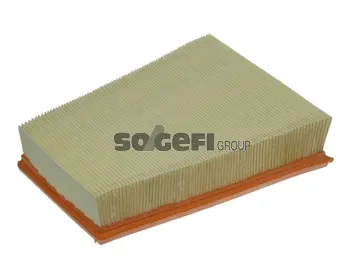 Air Filter (PA7450)