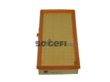 Air Filter (PA7639)