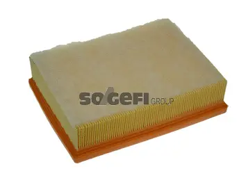 Air Filter (PA7492)