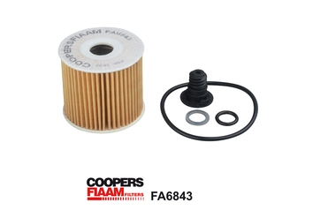 Oil Filter (FA6843)