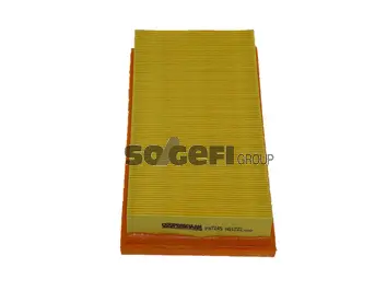 Air Filter (PA7245)