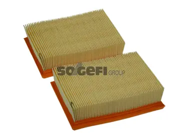 Air Filter (PA7348-2)
