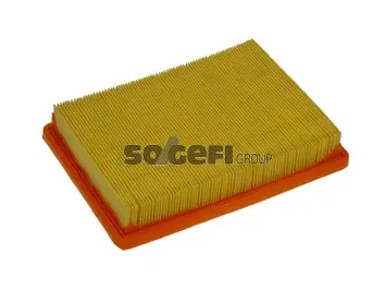 Air Filter (PA7136A)