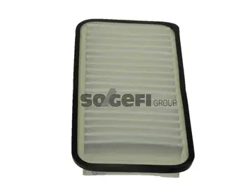 Air Filter (PA7438)